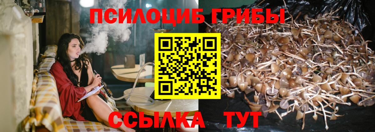 Биробиджан  Галлюциногенные грибы GOLDEN TEACHER  Вход с VPN 